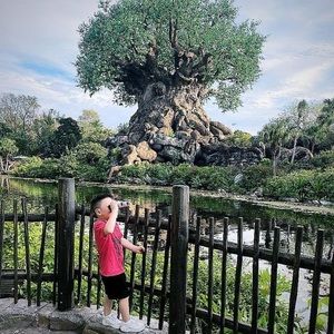 Meet your Posher, Daisy